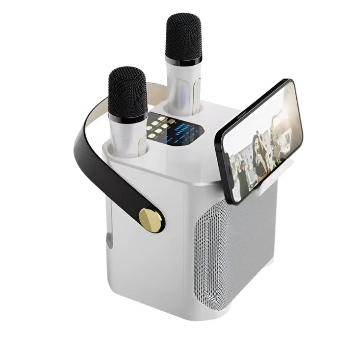 High-power Bluetooth karaoke speaker with two microphones