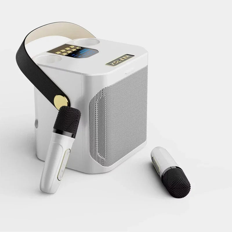 Mocny głośnik Bluetooth do karaoke z dwoma mikrofonami