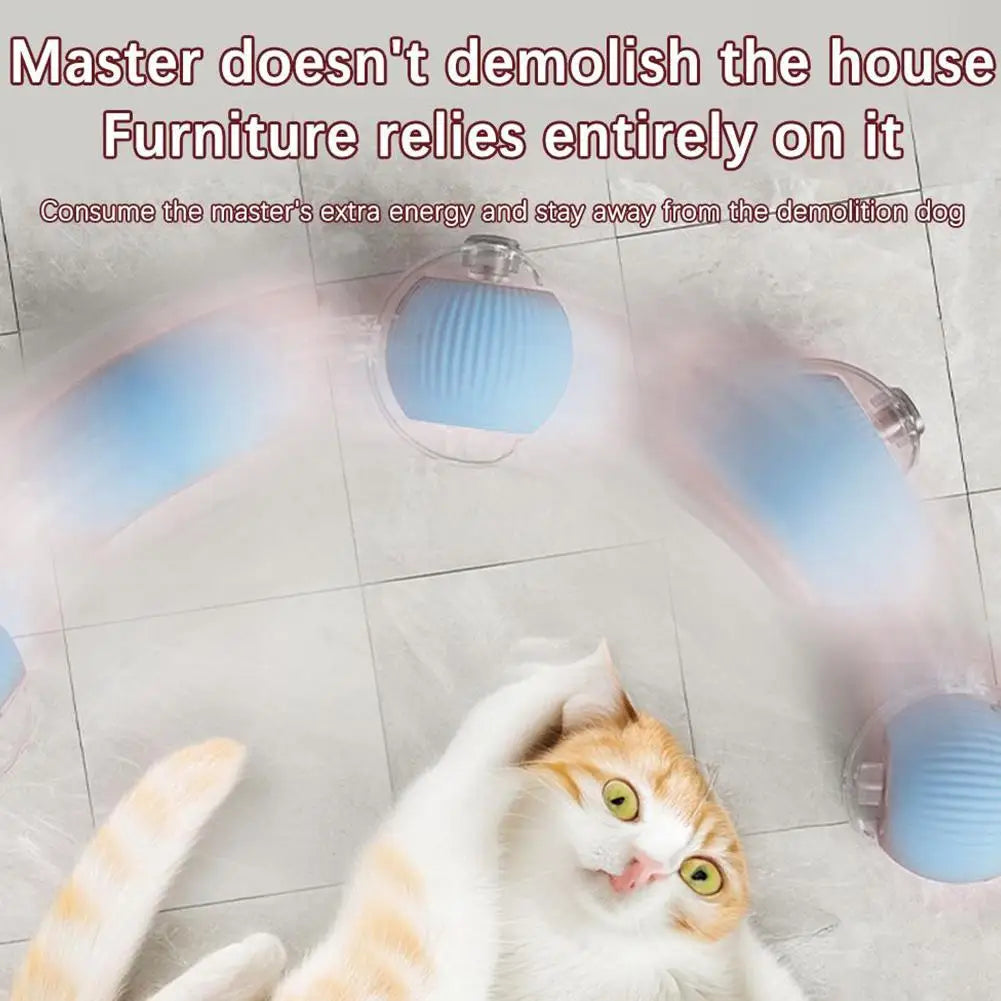 Balle roulante intelligente et interactive pour chats