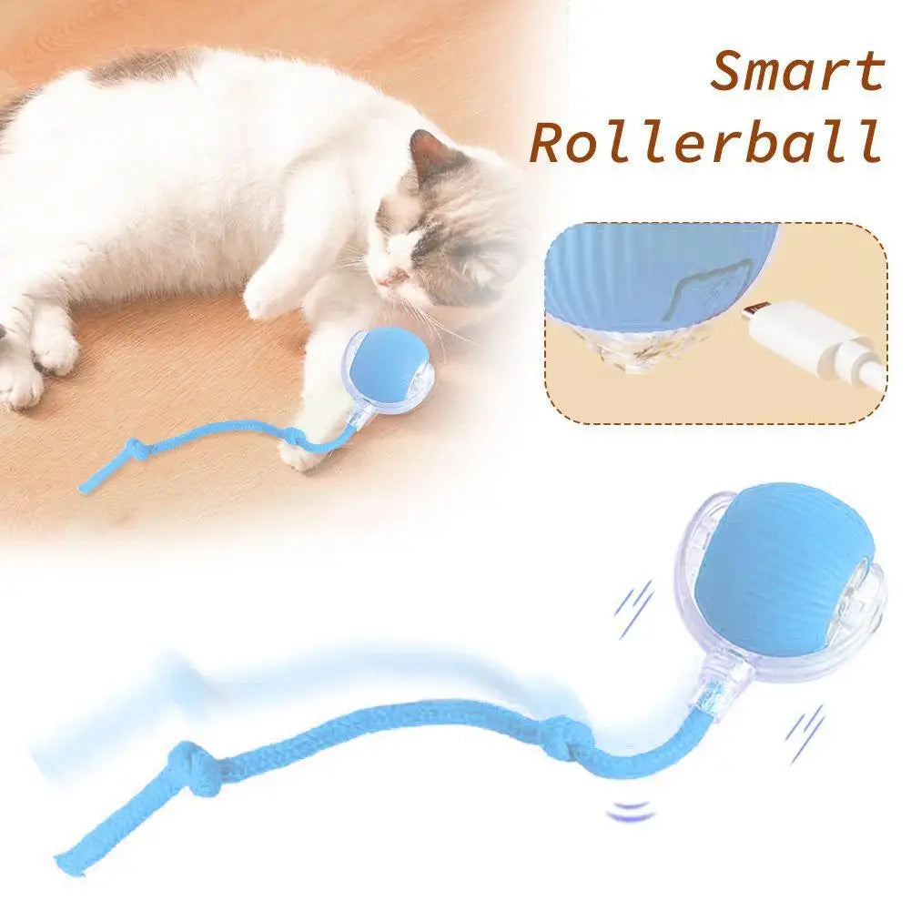 Balle-jouet intelligente pour chats, rechargeable