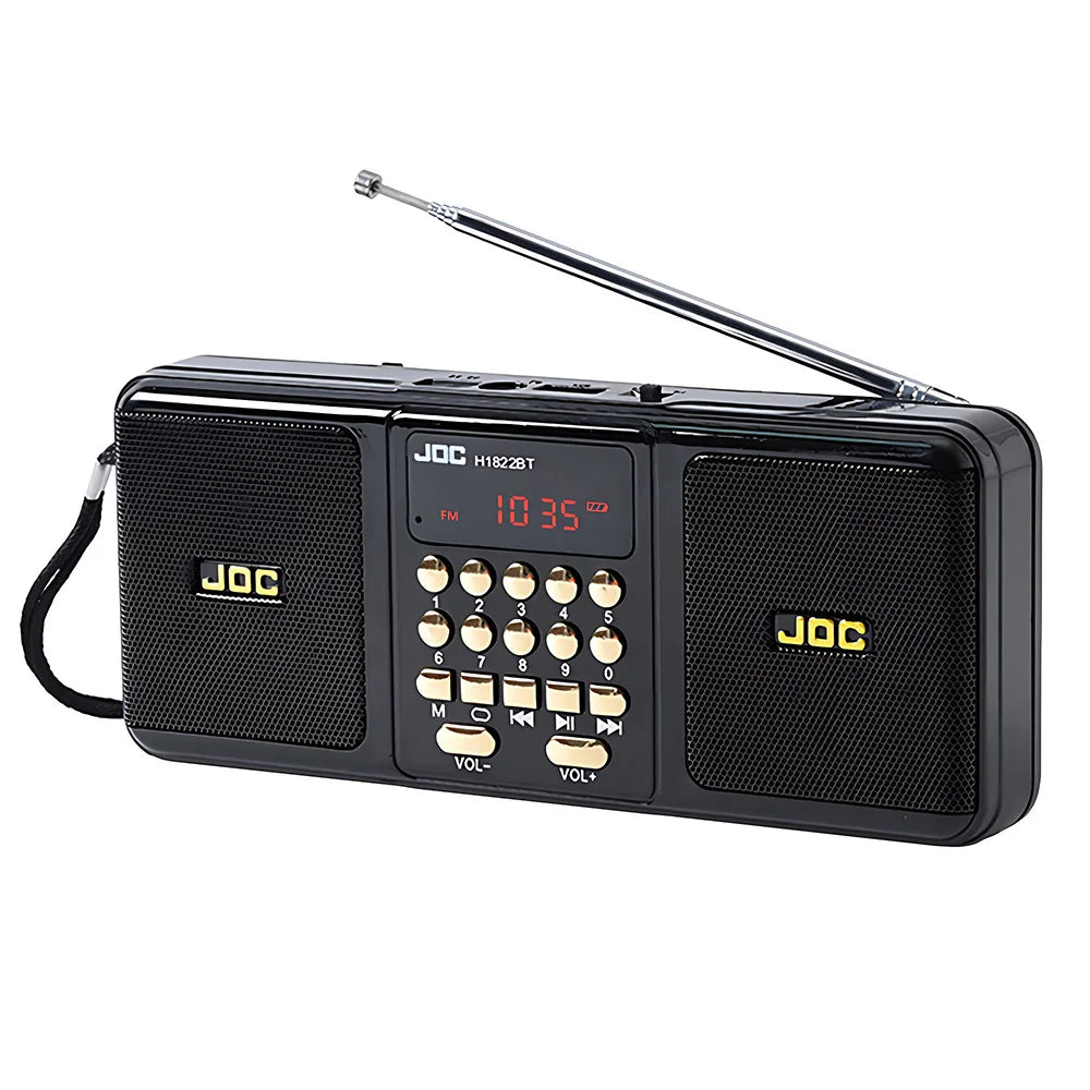 Enceinte portable avec Bluetooth et radio FM, noire