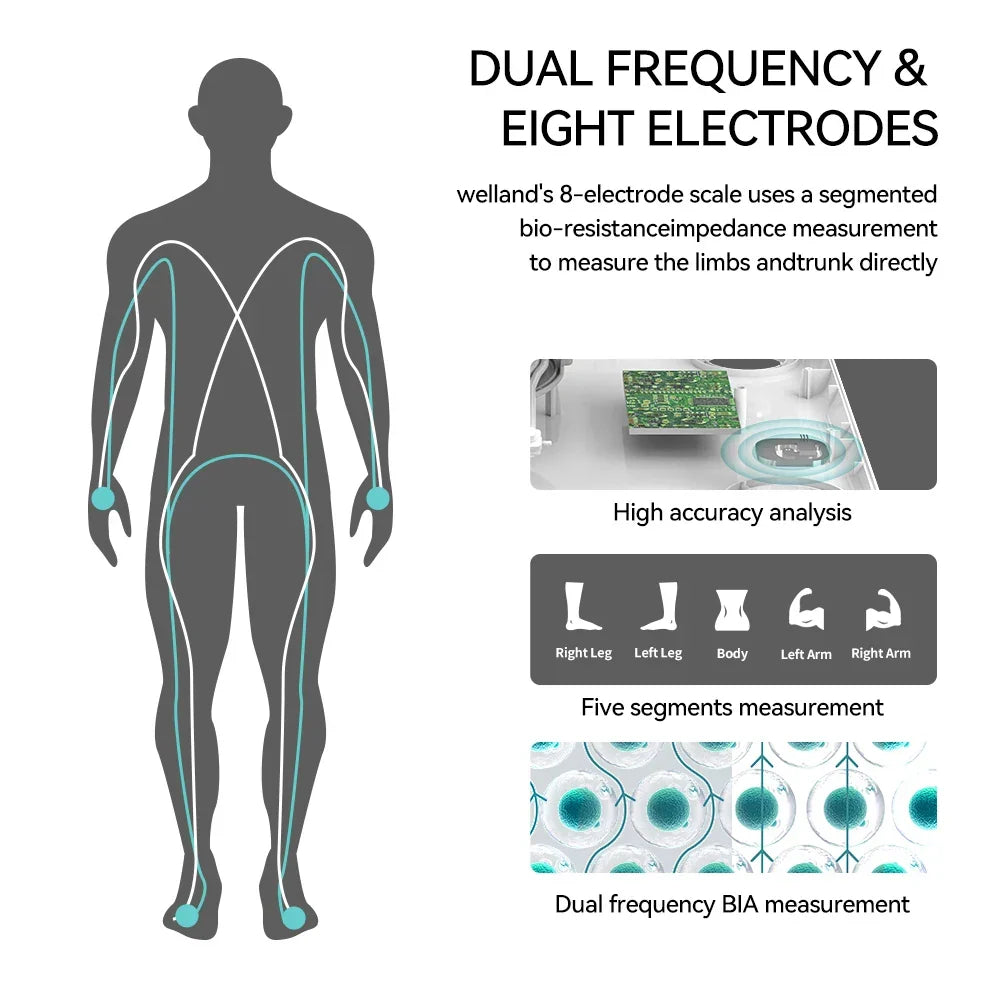 Black smart body fat scale with handles