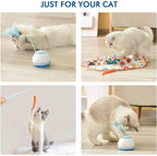 Jouets intelligents pour chats