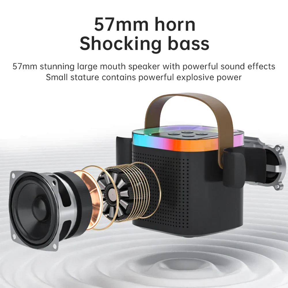 Portable Bluetooth karaoke system with microphones